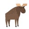 Moose. Cute vector elk with large horns on white, vector single antlered moose