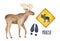 Moose drawing collection with big funny animal, black track and road warning sign.