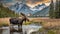Moose drink water from creek in mountainous region