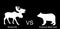 Moose elk against bear vector silhouette illustration isolated on black background.