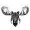 Moose, elk. Hipster animal wearing motorycle helmet. Image for kindergarten children clothing, kids. T-shirt, tattoo