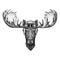 Moose, elk wearing leather helmet Aviator, biker, motorcycle Hand drawn illustration for tattoo, emblem, badge, logo