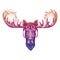 Moose, elk wearing vintage aviator leather helmet. Image in retro style. Flying club or motorcycle biker emblem. Vector