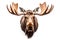 Moose head with big antlers. Hand drawn animal illustration.