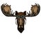 Moose head. Portrait of funny animal. Aviator flying leather helmet with googles.