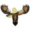 Moose head. Sombrero mexican hat. Portrait of funny animal.