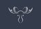 Moose line draw, male moose head with antlers. Horned animal linear icon, wildlife minimalistic logo design template