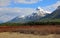 Moose meadow and Pilot Mountain