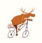 Moose riding bicycle, funny cartoon animal racing design.