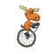 Moose riding a vintage monocycle