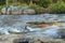 Moose River Rocks and Rapids