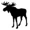 Moose silhouette, black