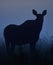 Moose silhouette at night