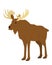 Moose standing against a white background vector illustration