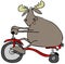 Moose on a tricycle