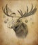 Moose on vintage background. Illustration in draw, sketch style.