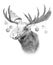 Moose on white background. Illustration in draw, sketch style. F