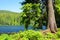 Moraine lake Grosser Arbersee in Bavarian forest. Germany.