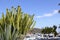 Moraira marina port view from cactus