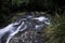 Morans Falls in Tamborine Mountains.