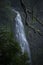 Morans Falls in Tamborine Mountains.