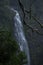 Morans Falls in Tamborine Mountains.