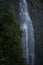 Morans Falls in Tamborine Mountains.