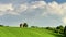 Moravian green fields with old traditional windmill on the hiills timelapse