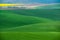 Moravian Green Rolling Landscape With Fields Of Wheat, And Small Village.Natural Seasonal Rural Landscape In Green Color.