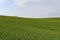 Moravian Green Rolling Landscape. Spring landscape. Moravian Tuscany, south Moravia, Czech Republic, Europe.