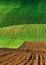 Moravian rolling hills in the summer time with meadow fields