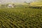 Moravian vineyard in the evening sun