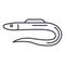 Moray,eel vector line icon, sign, illustration on background, editable strokes