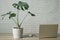Mordern working space with monstera plant in cement pot, laptop and mouse