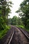 More miles to go, railway through the forest that leads to log distance in kerala india