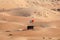 Moreeb dune in Liwa Oasis area, Abu Dhabi