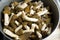 Morel conical`Morchella conica`, a bunch of delicious edible mushrooms, delicious European wild mushrooms on a plate