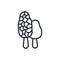 Morel icon. Vector isolated linear icon contour shape outline. Thin line. Modern glyph design. Mushrooms. Food