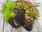 Morel mushrooms Morchella, wild fennel Foeniculum, wild Asparagus and bracken Pteridium aquilinum - spring gifts of nature in Gree