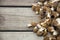 Morel mushrooms on wooden background