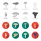 Morel, oyster, green amanita, actarius indigo.Mushroom set collection icons in monochrome,flat style vector symbol stock