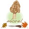 morel, yellow morel, true morel and sponge morel - edible mushrooms