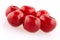 Morello cherry group
