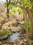 Moremi Gorge Botswana Africa