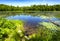 Morey Pond on a summer day in Wilmot, New Hampshire