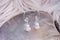 Morganite stone beads silver earrings on pearl shell background