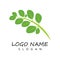 Moringa leaf Logo Template vector symbol nature