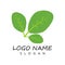 Moringa leaf Logo Template vector symbol nature