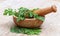 Moringa leaves and mortar pestle