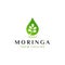 Moringa logo design template